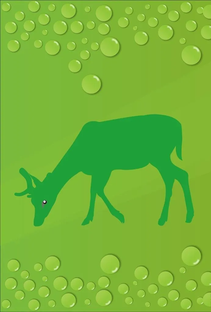 水珠与鹿图片cdr矢量模版下载