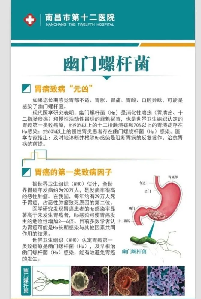 医院展板图片ai矢量模版下载
