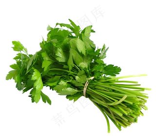 芹菜图片