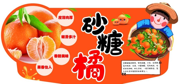 砂糖橘图片(6142x3071)psd模版下载