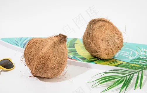 椰子图片 椰子图片