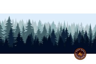 松林树林剪影图片