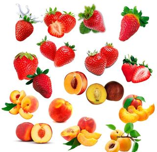 水果 图片