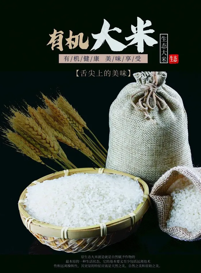 大米图片(1772x2480)psd模版下载