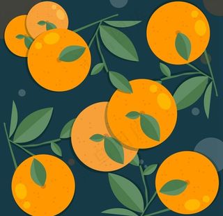 带叶橙子矢量图片