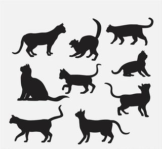 宠物猫剪影矢量素材图片