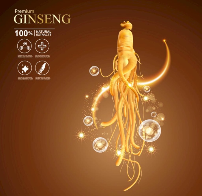 矢量人参护肤品精华插画图片