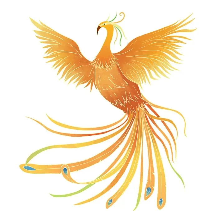 凤凰图片(2000x2000)psd模版下载