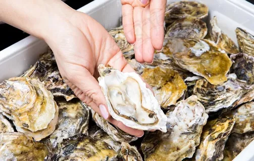 生蚝图片
