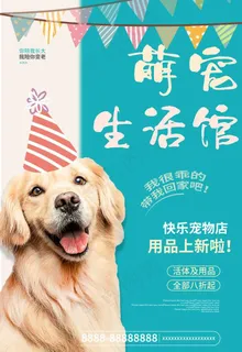 宠物店图片