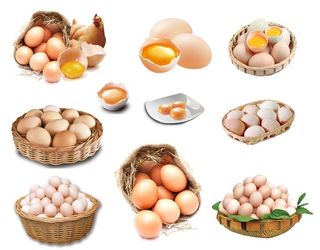 鸡蛋图片