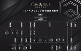 酒吧人员架构图图片