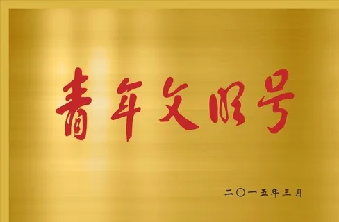 青年文明号钛金牌图片
