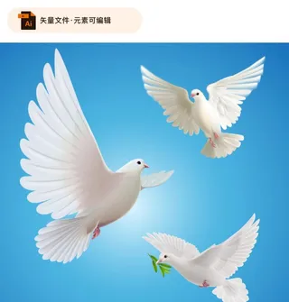 逼真和平鸽矢量素材图片