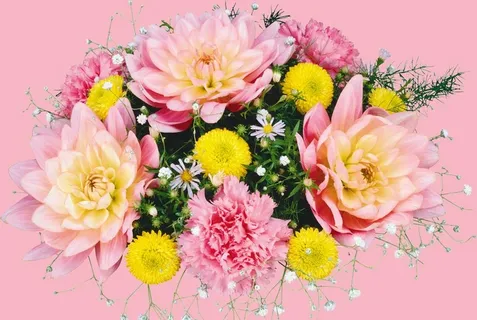 花束图片 花束图片