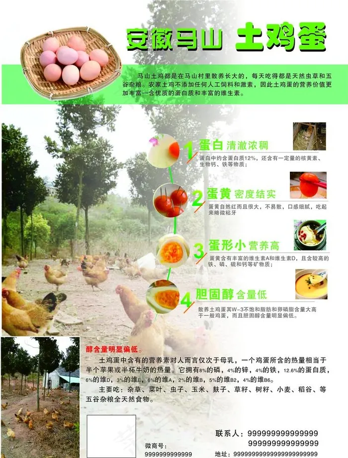 土鸡蛋 图片cdr矢量模版下载