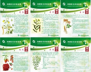 药材简介 药材展板图片