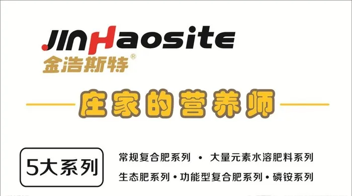金浩斯特图片cdr矢量模版下载