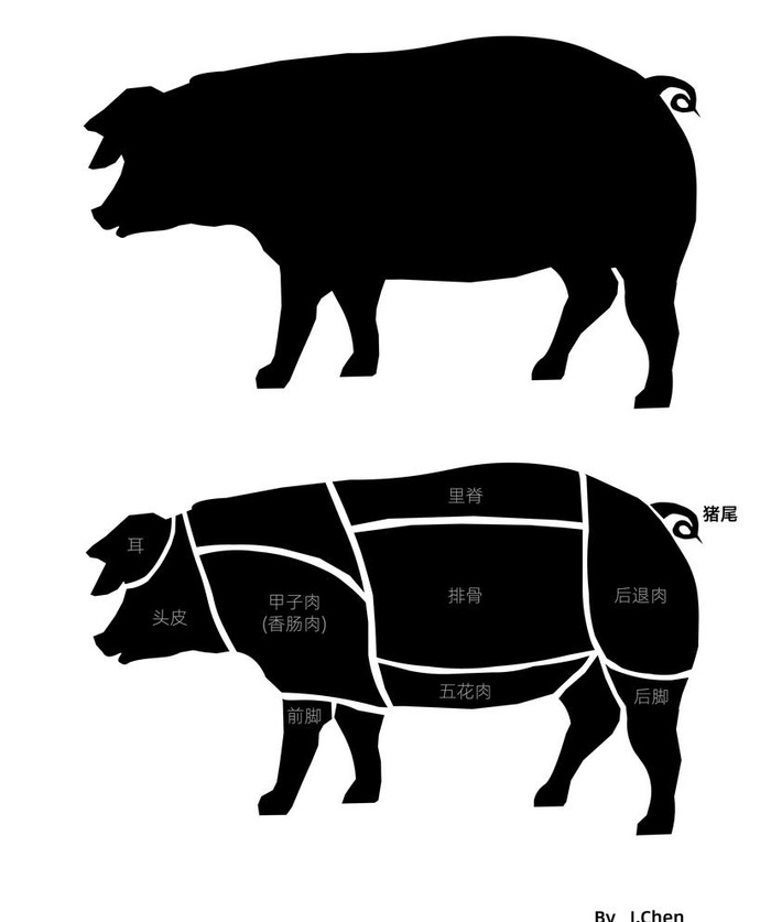 猪体猪肉结构分区图片ai矢量模版下载