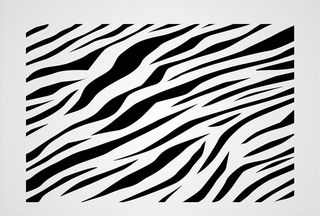 斑马纹路 黑白纹路图片