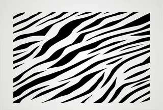 斑马纹路 黑白纹路图片