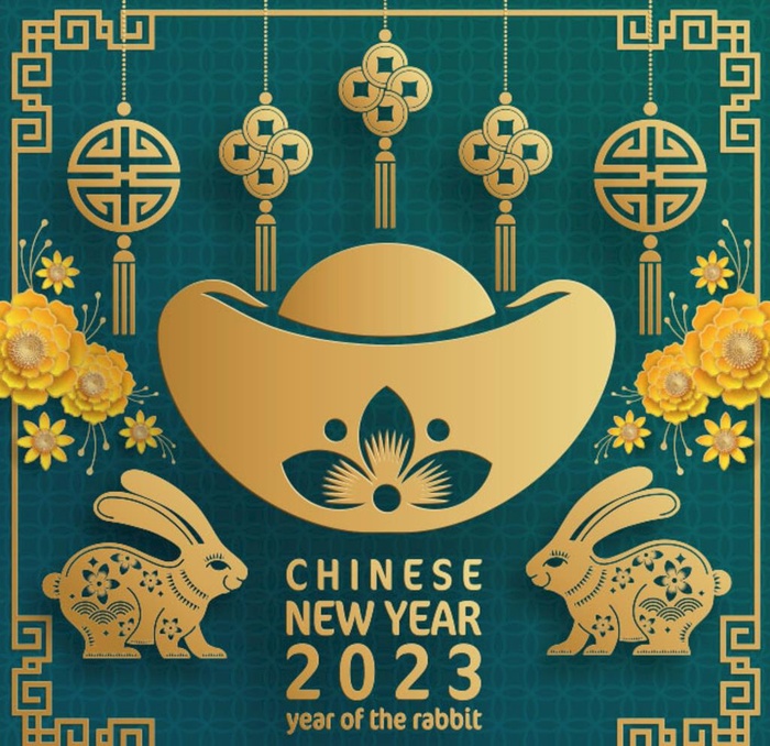 兔年海报图片ai矢量模版下载