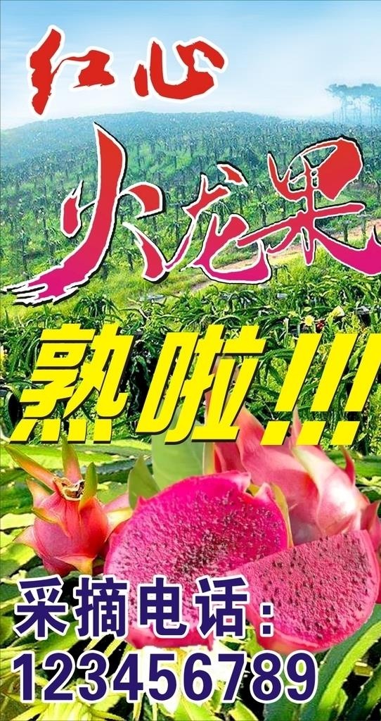 火龙果海报图片