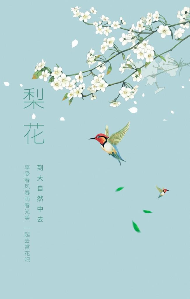 梨花季图片(3543x5315)psd模版下载