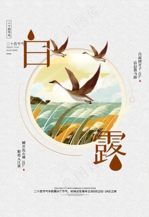 白露图片