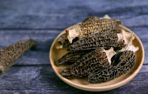 羊肚菌图片