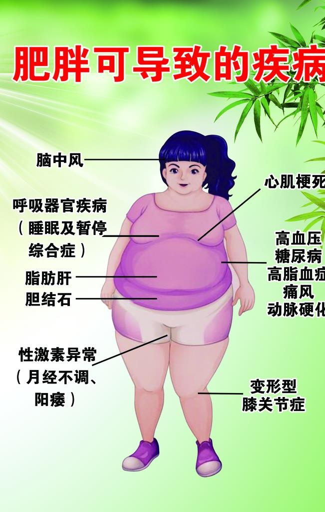 肥胖可导致的疾病图片