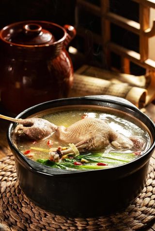 老鸭汤图片