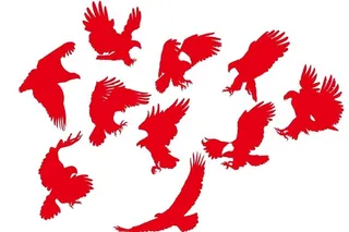 矢量鹰剪影图片