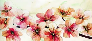 手绘画桃花梅花装饰画图片