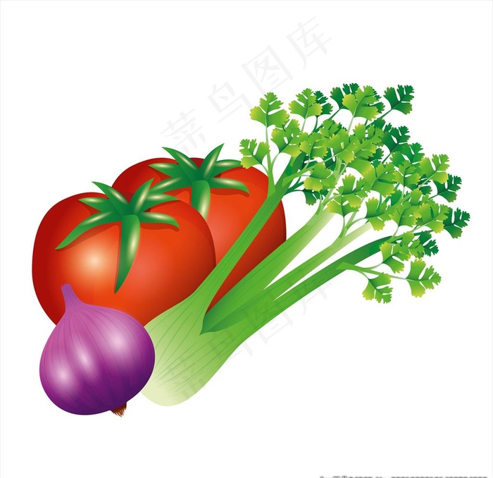 蔬菜图片eps,ai矢量模版下载