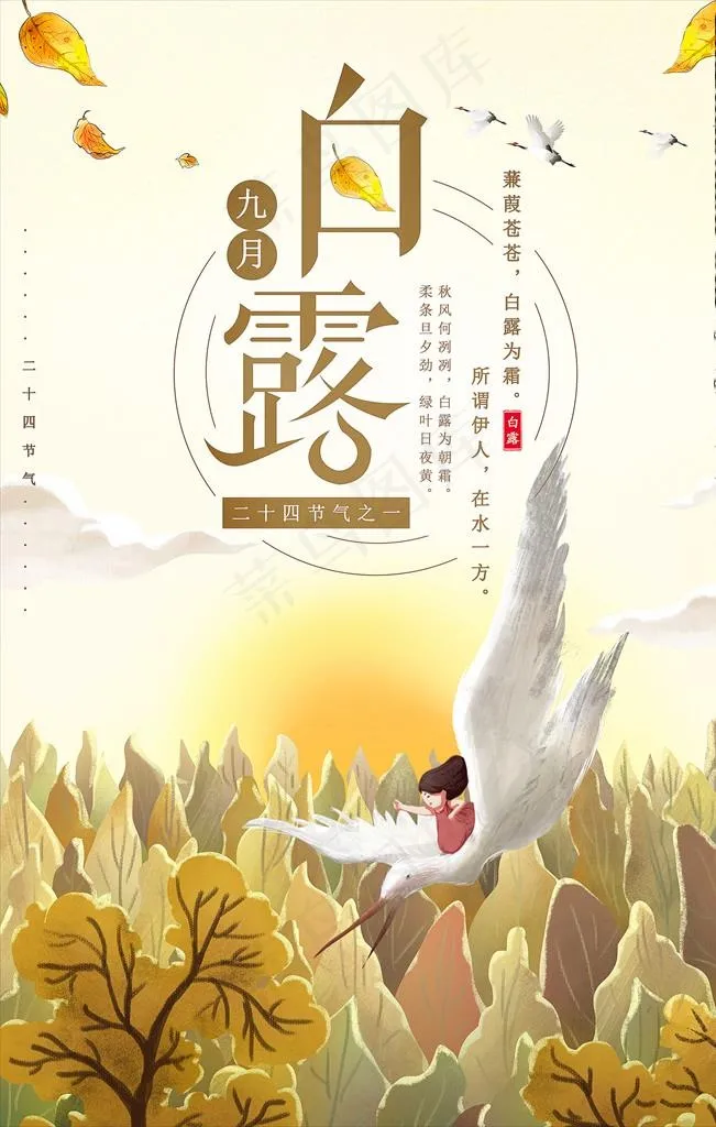 白露图片psd模版下载