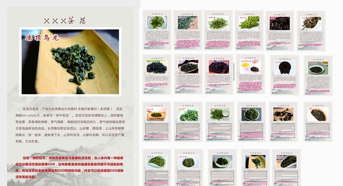 茶叶介绍图片cdr矢量模版下载