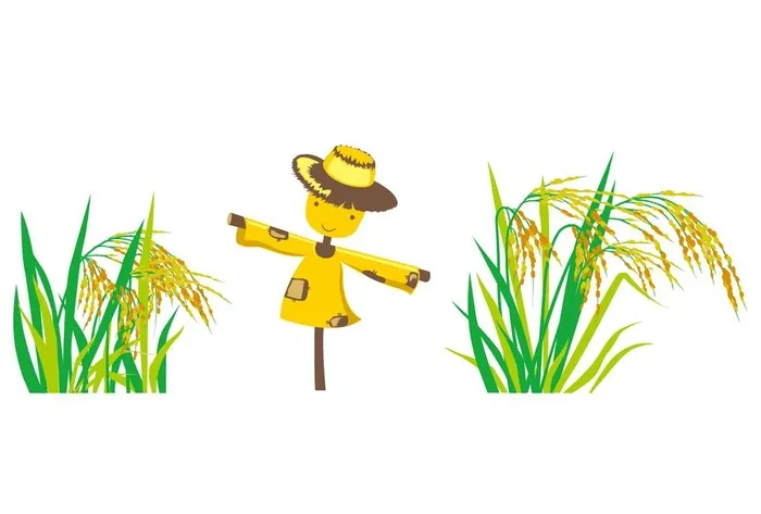 水稻图片ai矢量模版下载