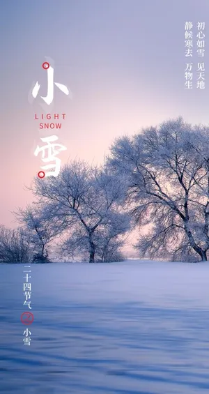 24二十四节气小雪海报背景下雪图片