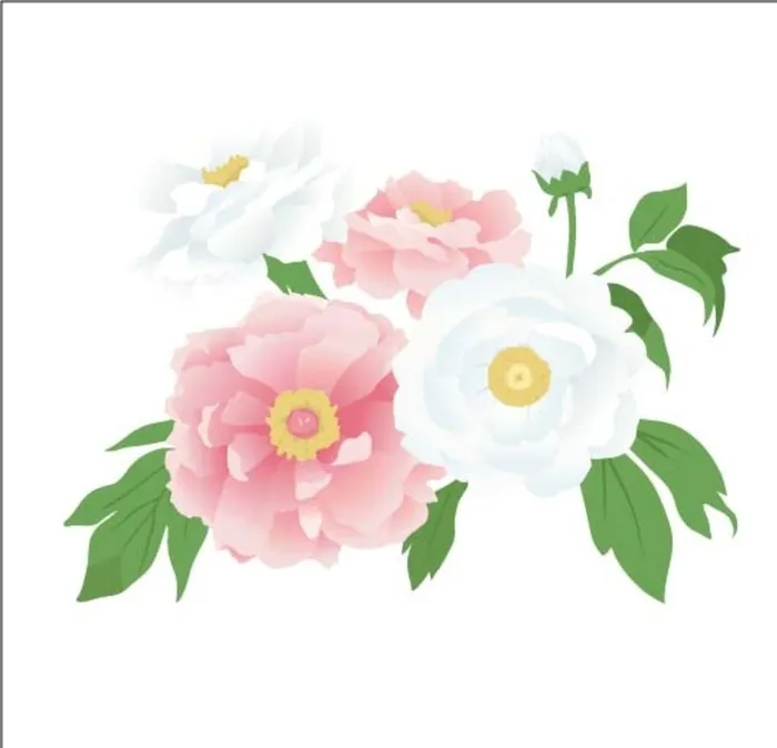 芍药图片