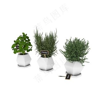 盆栽模型绿植模型图片