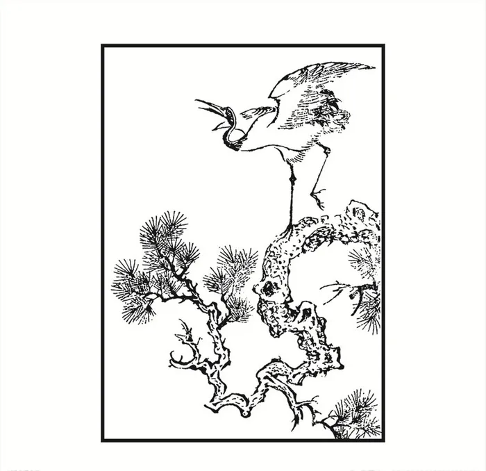松鹤图片ai矢量模版下载