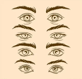 眼睛图片