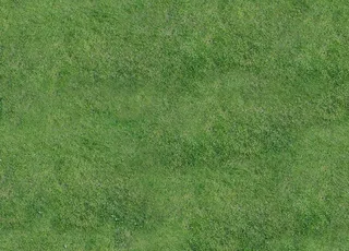 草皮贴图图片