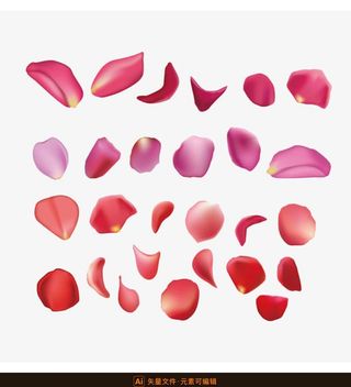 飘落的花瓣素材图片