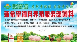 新希望六和海报图片