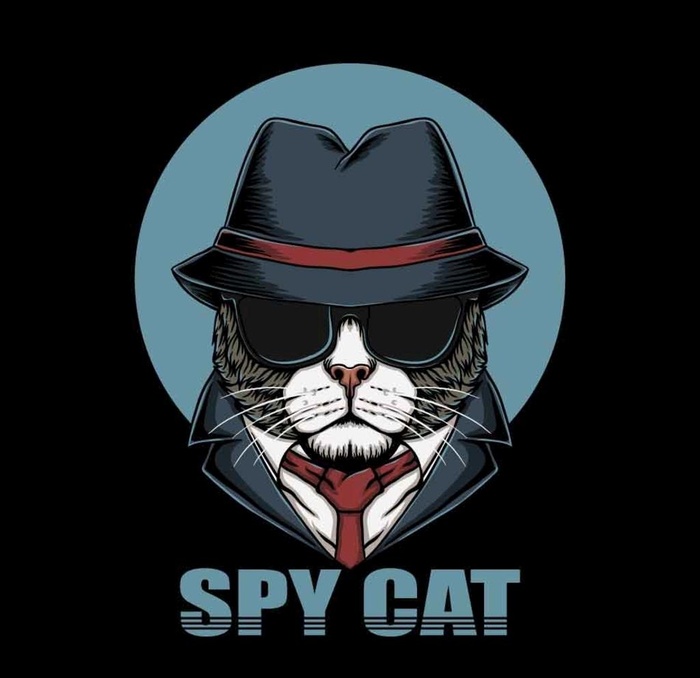 卡通猫图片