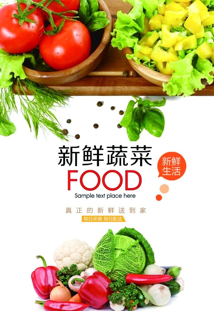 新鲜蔬菜宣传海报图片(4252x6378)psd模版下载