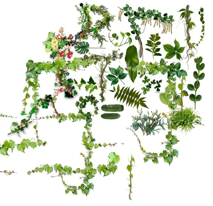 绿植图片(2835x2835)psd模版下载
