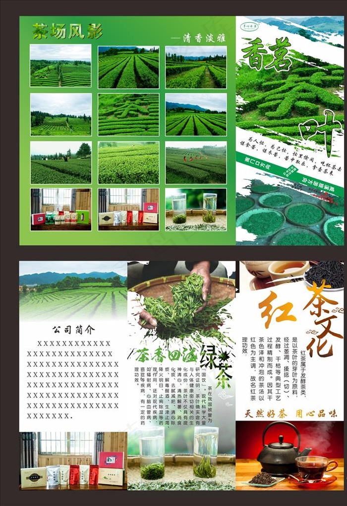 茶园文化宣传折页素材图片cdr矢量模版下载